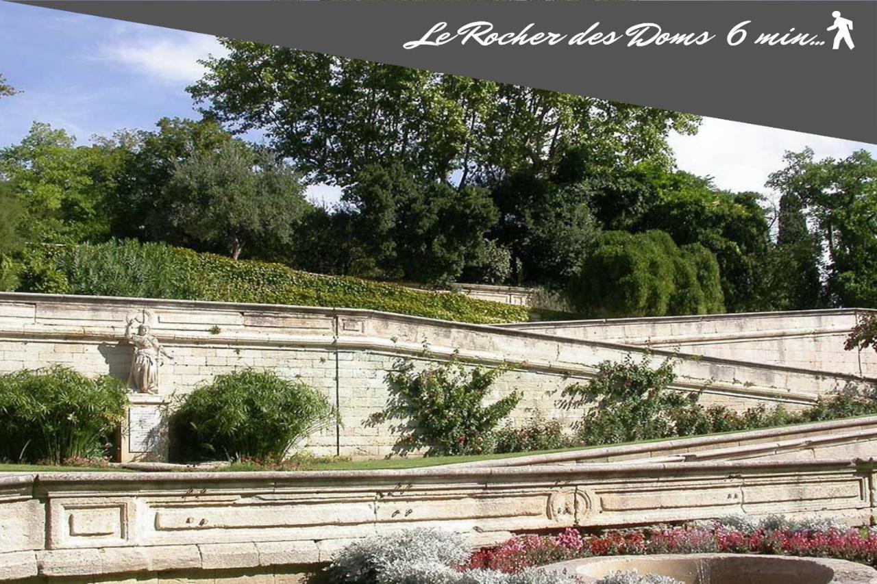 Le Chapeau Rouge Au Coeur Du Centre Historique Avignon Buitenkant foto